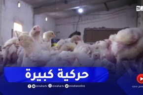 المركزات الفيتامينية الحيوانية..إنتاج كبير مقابل أرقام محتشمة بالتصدير