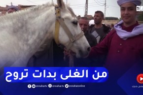 تيارت : أقدم سوق لبيع الخيول بأنواعها مقصد لمحبيها بالسوقر