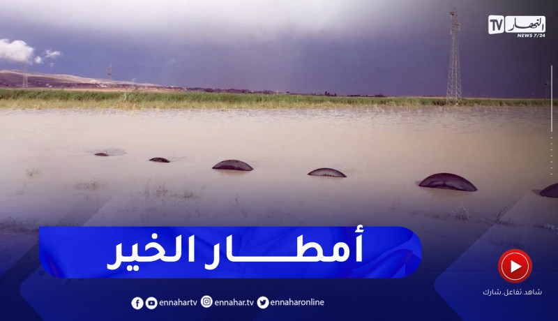 تبسة: أمطار غزيرة بعد سنة من الجفاف المستمر