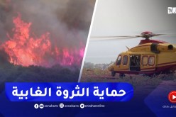 مناقصة لإقتناء 6 طائرات إطفاء..السلطات الجزائرية تتأهب لمجابهة الحرائق