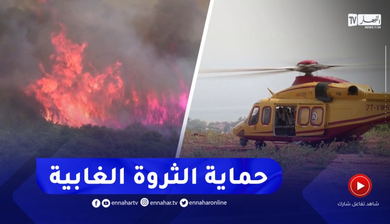 مناقصة لإقتناء 6 طائرات إطفاء..السلطات الجزائرية تتأهب لمجابهة الحرائق