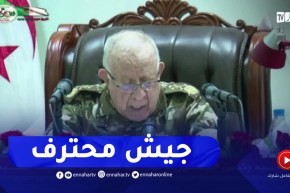 شنقريحة : الجيش الوطني الشعبي أصبح جيشا محترفا بكل ما تعنيه عبارات الاحتراف