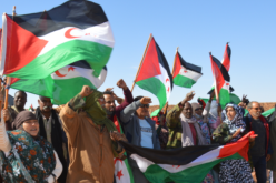 اسبانيا.. وزيرة العمل تجدد التزامها بدعم كفاح الشعب الصحراوي لتقرير المصير