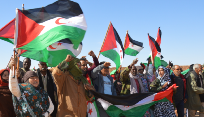 اسبانيا.. وزيرة العمل تجدد التزامها بدعم كفاح الشعب الصحراوي لتقرير المصير