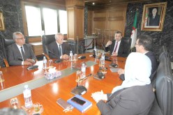الطاقة.. تنصيب المدير العام الجديد للكهرباء والطاقات الجديدة والغاز والمواد البترولية