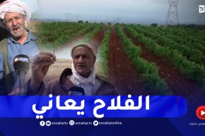 مشاكل الفلاحين بحاجة إلى صوت .. أين هو الإتحاد الوطني للفلاحين