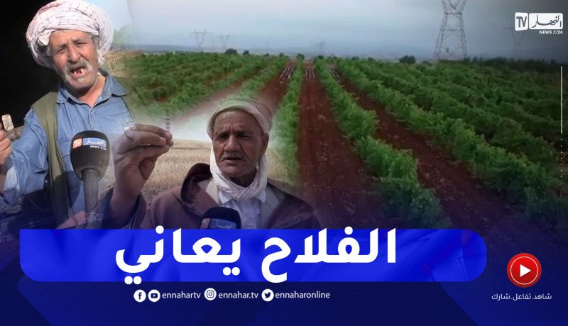 مشاكل الفلاحين بحاجة إلى صوت .. أين هو الإتحاد الوطني للفلاحين