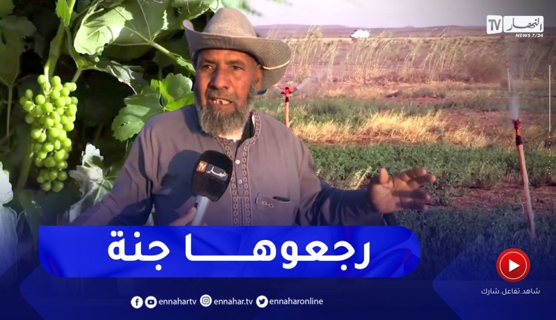 بشار: فلاحو منطقة الكعام يحولون أرض قاحلة إلى فلاحية منجة لمختلف الخضر والفواكه