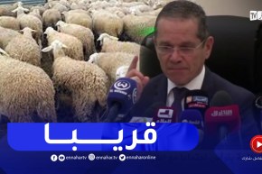 وزير الفلاحة : راح نقدمو مشروع قانوني يجـ.ـرم ذبـ.ـح أنثى المواشي