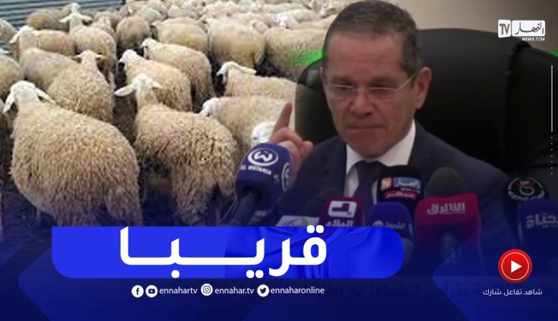 وزير الفلاحة : راح نقدمو مشروع قانوني يجـ.ـرم ذبـ.ـح أنثى المواشي