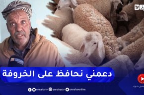 تيارت: أراء متباينة للموالين حول القانون الذي يجرم ذبـ.ح أنثى الماشية