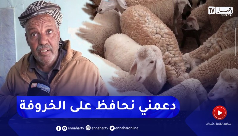 تيارت: أراء متباينة للموالين حول القانون الذي يجرم ذبـ.ح أنثى الماشية