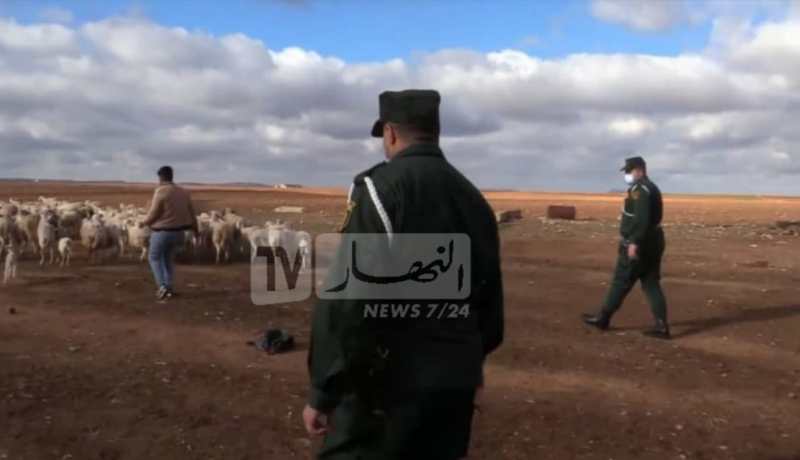 باتنة: الإطاحة بعصابة إرتكبت 10 عمليات لسرقة المواشي