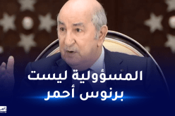 الرئيس تبون: من أخطأ يدفع الثمن