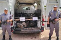 جمارك.. حجز 800 لتر من البنزين المهرب و11 محركا مستعملا في الجنوب