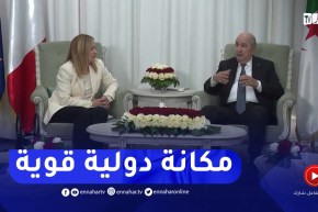 الدبلوماسية الجزائرية وحل النزاعات الإقليمية والعربية..حنكة ومبادئ ثابتة