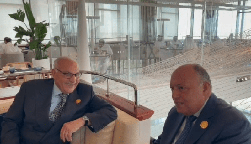 وزير الخارجية يلتقي نظيره المصري وهذا ما اتفقا عليه