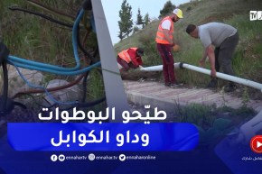 المدية : تنامي ظاهرة التخريب والإعتداء على شبكات وخطوط الكهرباء