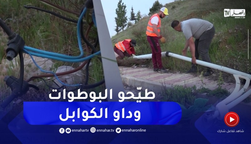 المدية : تنامي ظاهرة التخريب والإعتداء على شبكات وخطوط الكهرباء