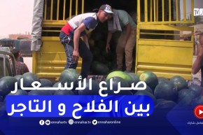 بلدية حاسي لفحل تنتعش بسبب سوق الدلاع.. والأسعار تتضارب بين الفلاح بالمنيعة