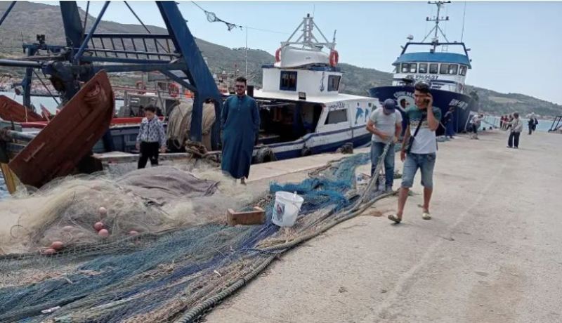 صيد بحري: فتح باب التكوين لكل المهنيين