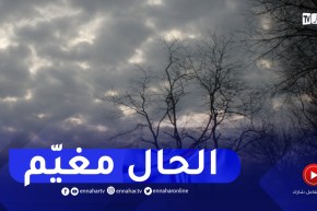 طقس غائم مع حرارة مرتفعة بهذه المناطق