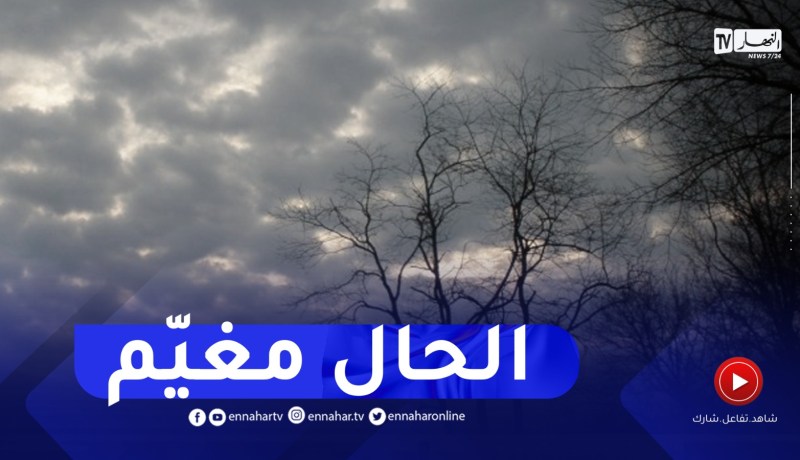 طقس غائم مع حرارة مرتفعة بهذه المناطق