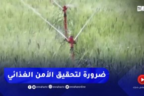 غليزان : التعويل على المساحات المسقية لجمع إحتياجات الولاية من البذور