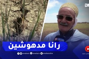 تيارت : الفلاحون يصطدمون بتلف محاصيل الحبوب بسبب شح الأمطار