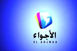 3 سنوات حبسا نافذا لمدير عام قناة خاصة مع أمر بالقبض عليه