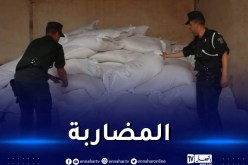 باتنة: الدرك يحجز 115 قنطار من النخالة بسريانة