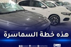 حماية المستهلك تُحذر من سماسرة السيارات وتدعو السلطات للتدخل