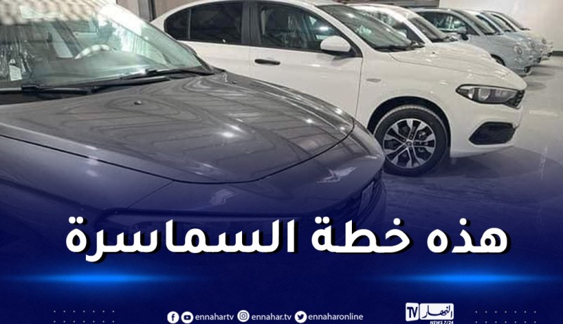 حماية المستهلك تُحذر من سماسرة السيارات وتدعو السلطات للتدخل