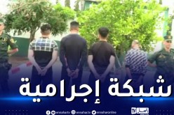 سيدي بلعباس: الدرك يوقف 4 أشخاص يقومون بسرقة الأبقار