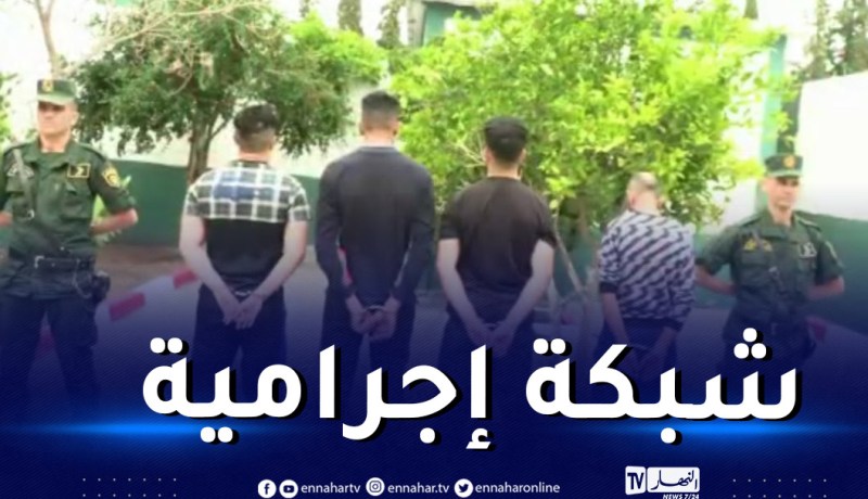 سيدي بلعباس: الدرك يوقف 4 أشخاص يقومون بسرقة الأبقار