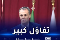 حماد: “المنشآت متوفرة وعلينا السهر لإنجاح الألعاب العربية”