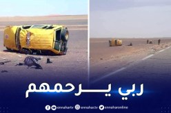 إليزي.. وفاة عنصرين من الحماية المدنية في حادث مرور