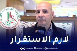 علالو: “تدهور نتائج الملاكمة الجزائرية عائد لعدم استقرار الفيدرالية”