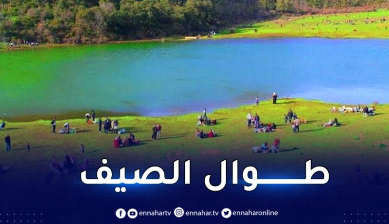 منع دخول المركبات إلى غابات هذه الولاية