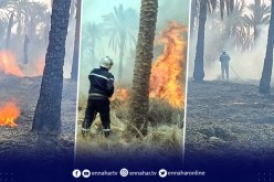 المغير: إحتراق 300 نخلة وإنقاذ آلاف النخيل بمزارع سيدي خليل