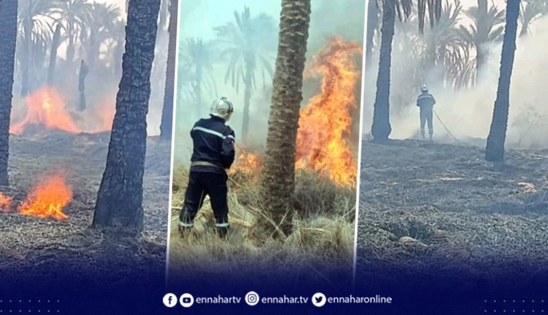 المغير: إحتراق 300 نخلة وإنقاذ آلاف النخيل بمزارع سيدي خليل