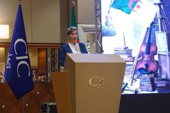 وزيرة الثقافة: إطلاق مشروع إنجاز مركز طبي إجتماعي للفنانين