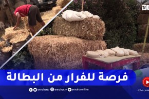 بيع التبن والفحم.. فرصة الشباب للفرار من البطالة مؤقتا