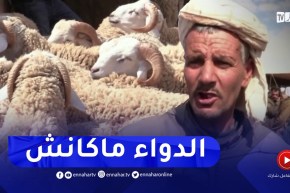 ندرة اللقاح الخاص بالتسممات المعوية يخلظ أوراق الموالين والبياطرة بتيارت