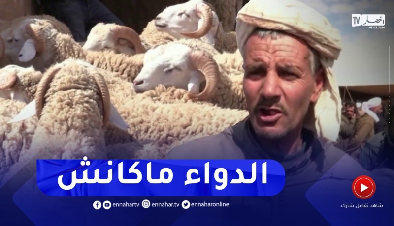 ندرة اللقاح الخاص بالتسممات المعوية يخلظ أوراق الموالين والبياطرة بتيارت