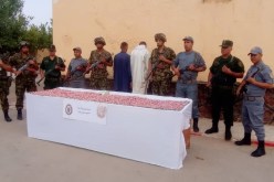 الجمارك تحجز أزيد من 11 ألف قرص مهلوس