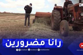 تيارت : أصحاب المهن الحرة المرتبطة بالقطاع الفلاحي تتأثر بظاهرة الجفاف
