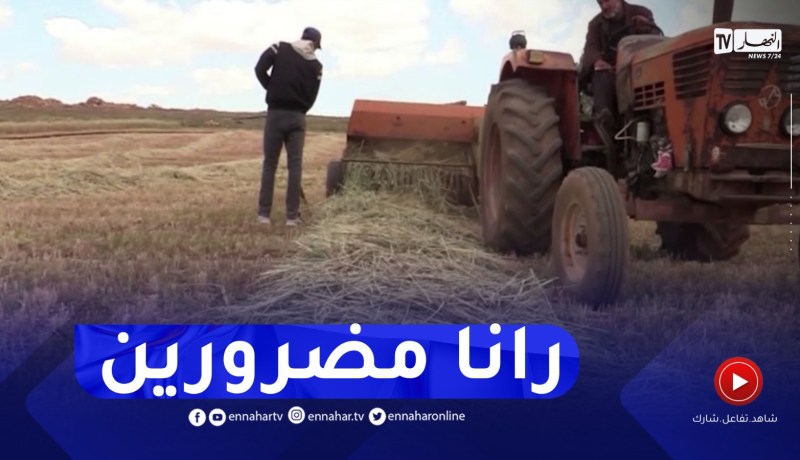 تيارت : أصحاب المهن الحرة المرتبطة بالقطاع الفلاحي تتأثر بظاهرة الجفاف