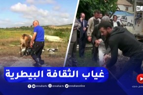 جيجل / غياب الثقافة البيطرية لدى المربي.. خـ.ـطر يهـ.ـدد الثروة الحيوانية والإنسان