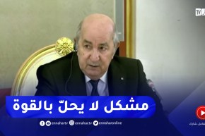 رئيس الجمهورية عبد المجيد تبون :”مشكل مالي لايحلّ بالقوة “